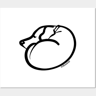 Sleeping Dog Curled Up Black and White Line Drawing Posters and Art